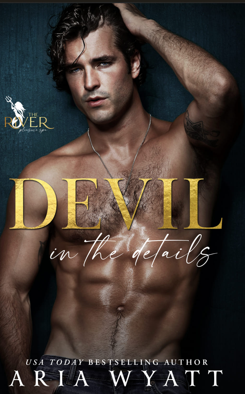 Devil in the Details book cover