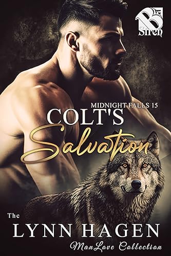 Colt's Salvation book cover