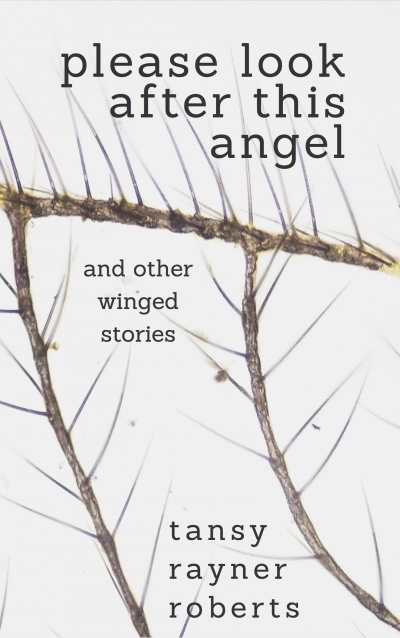 Please Look After This Angel, and Other Winged Stories book cover