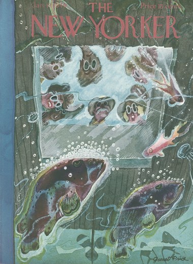 Winter Night book cover