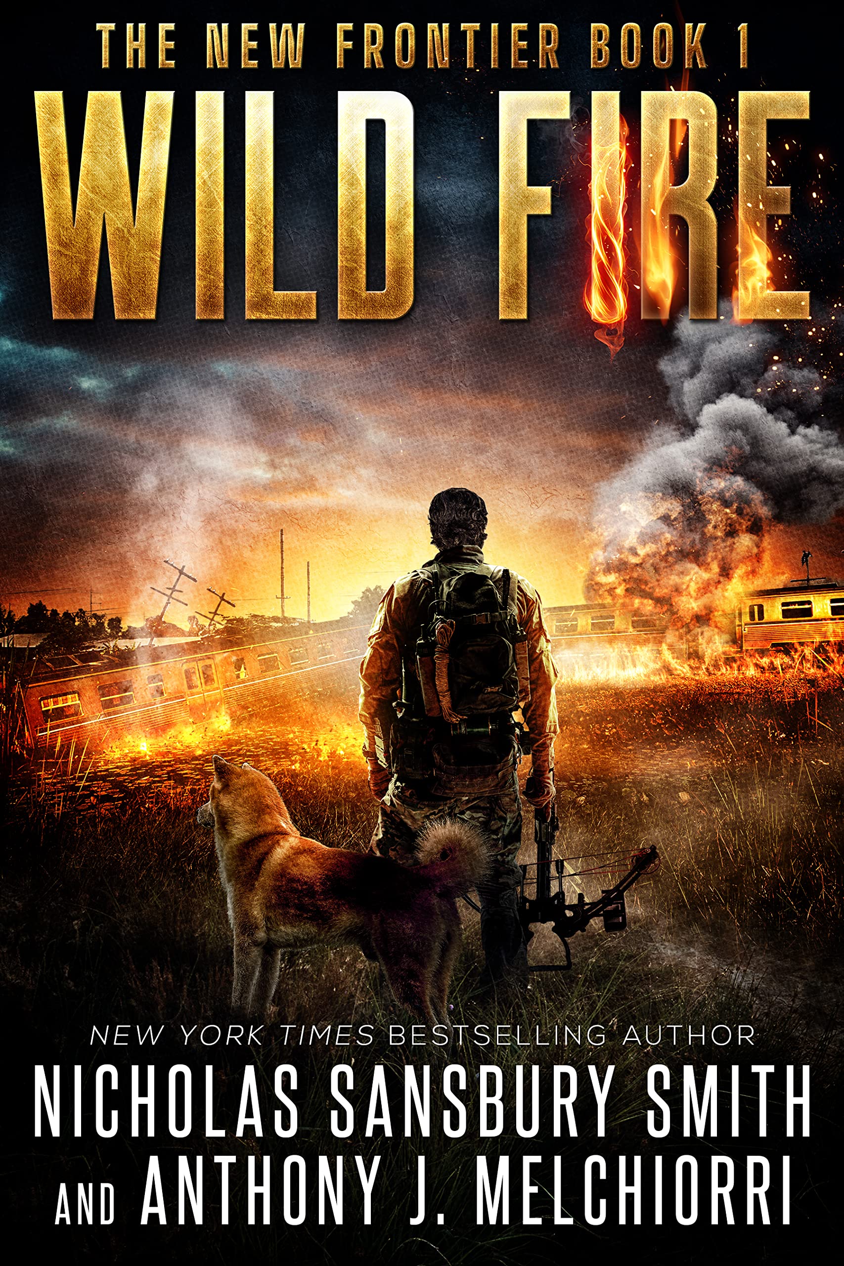 New Frontier book cover 1