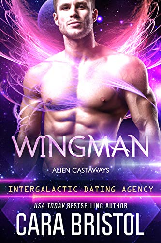 Wingman book cover