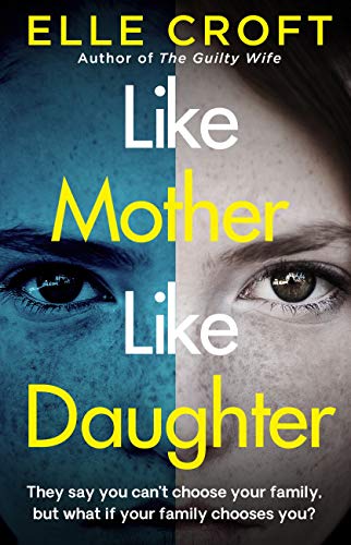 Like Mother, Like Daughter book cover