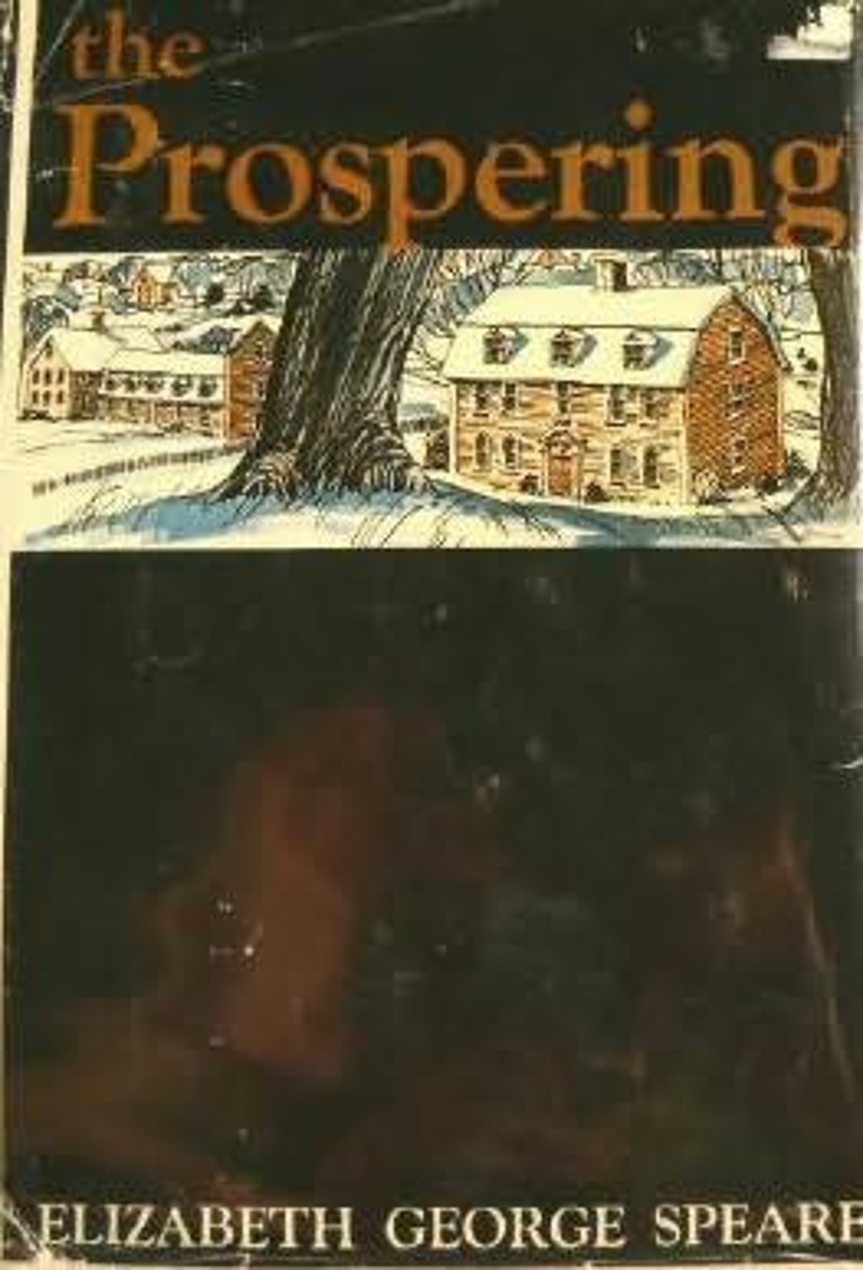 The Prospering book cover