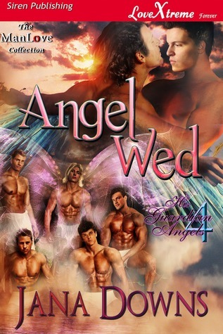 Angel Wed book cover