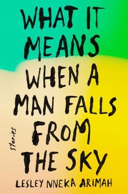 What It Means When a Man Falls from the Sky book cover