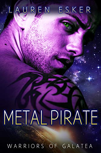 Metal Pirate book cover