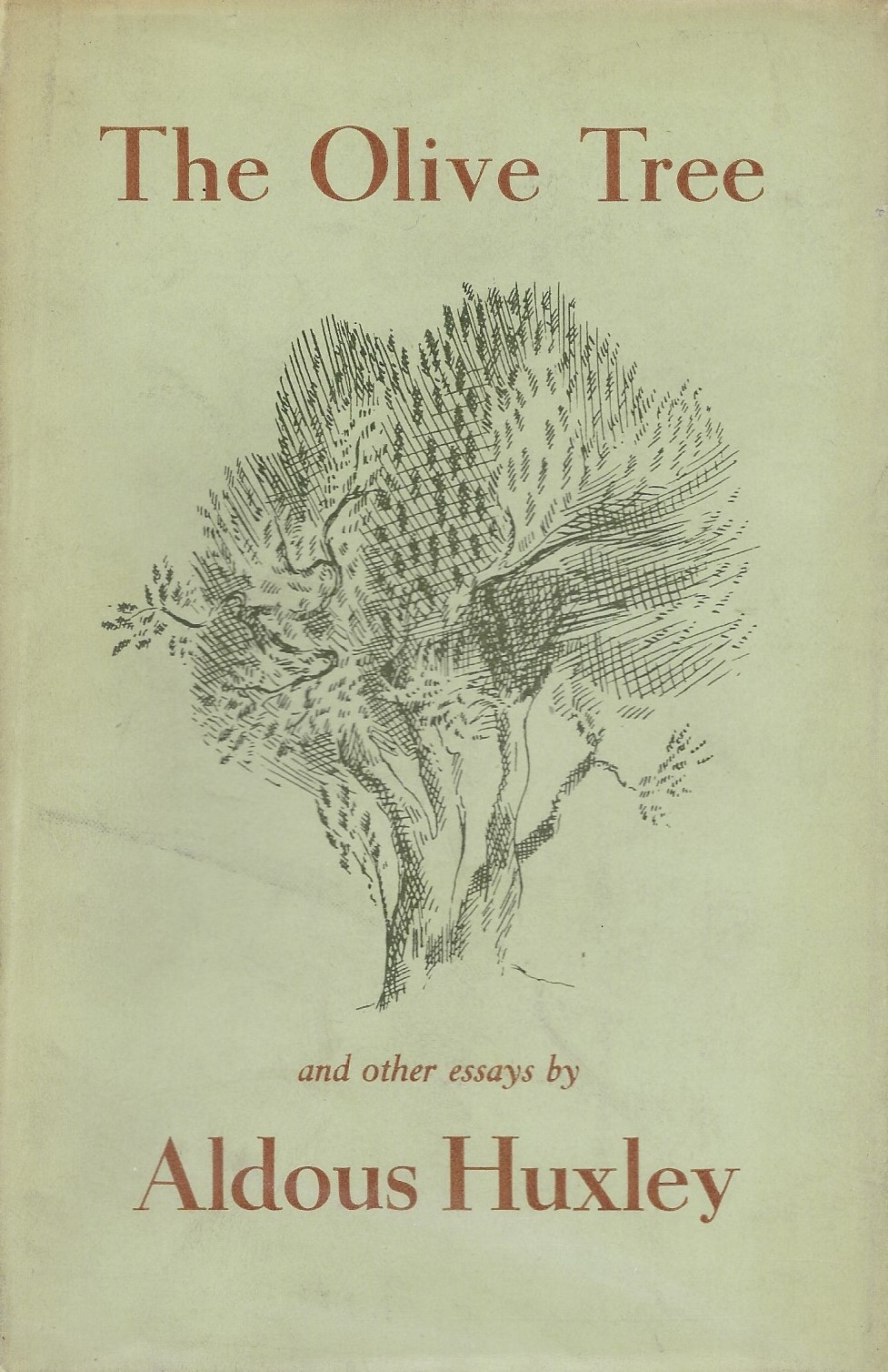 The Olive Tree book cover