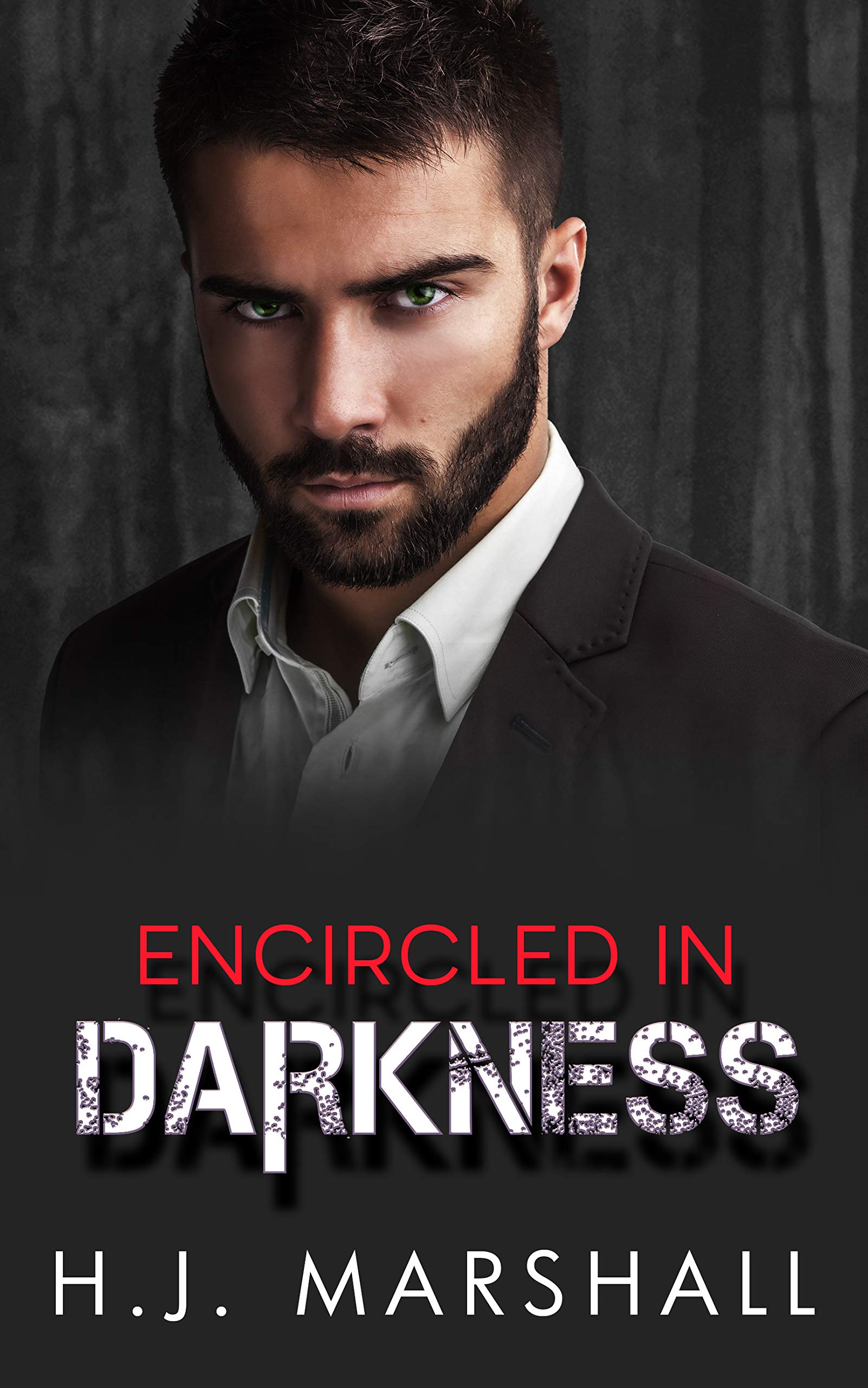 Embattled Dreams book cover 2