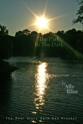 In the Park, In the Dark book cover