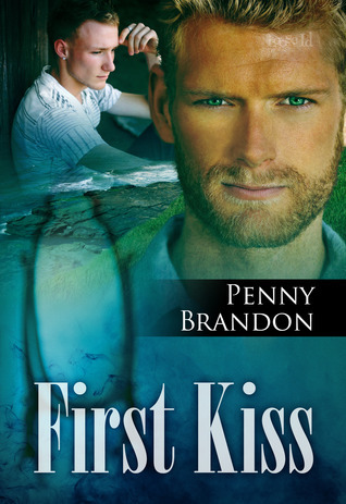 The Looking Glass book cover 2