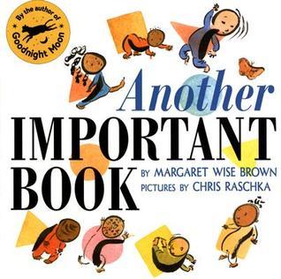 Another Important Book book cover