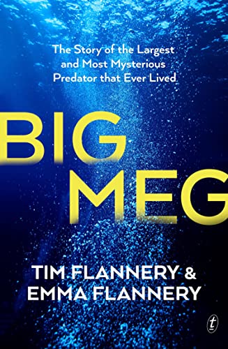Big Meg book cover
