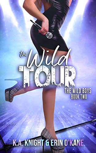 The Wild Boys book cover 2