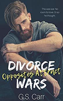 Divorce Wars book cover