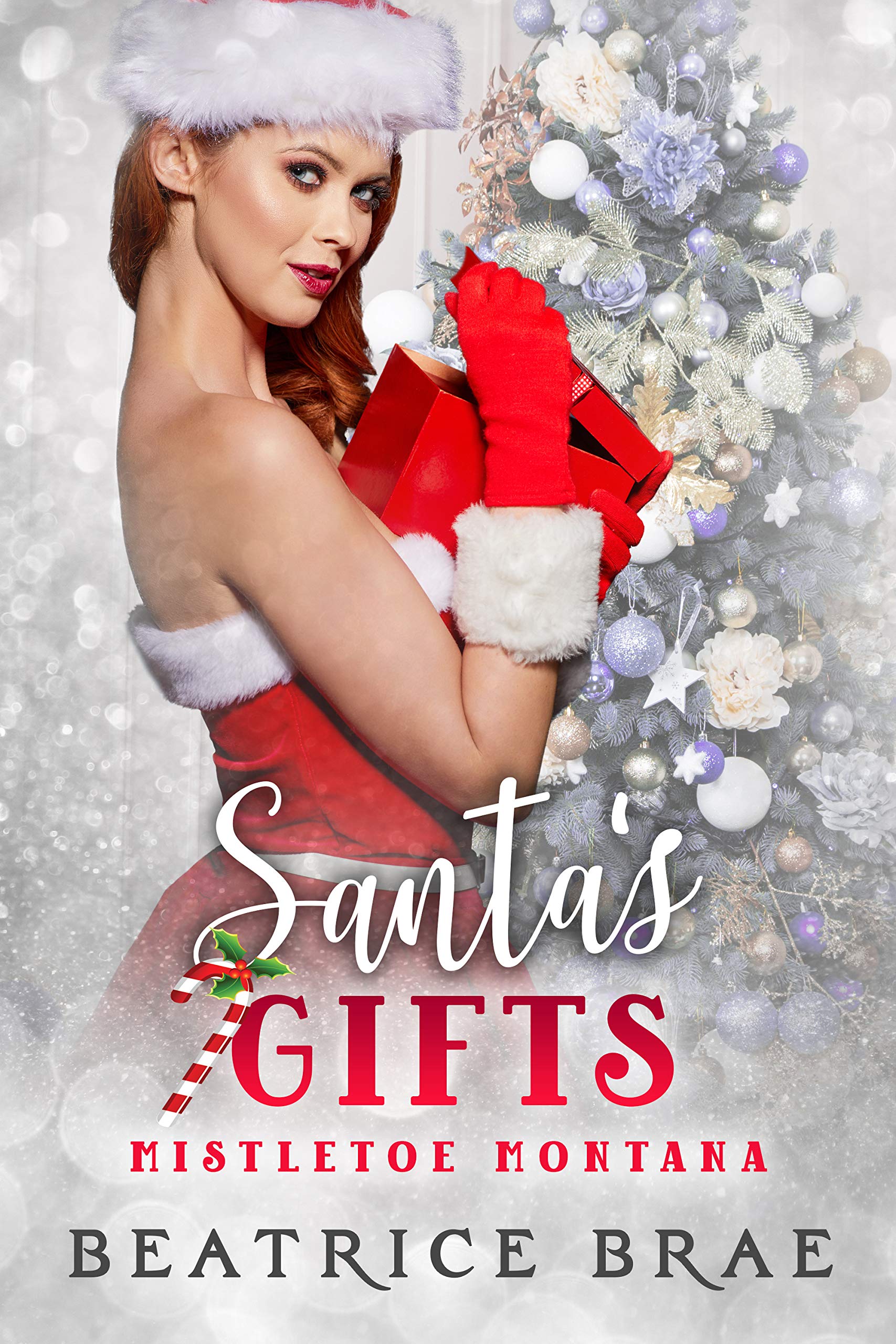 Santa's Gifts book cover