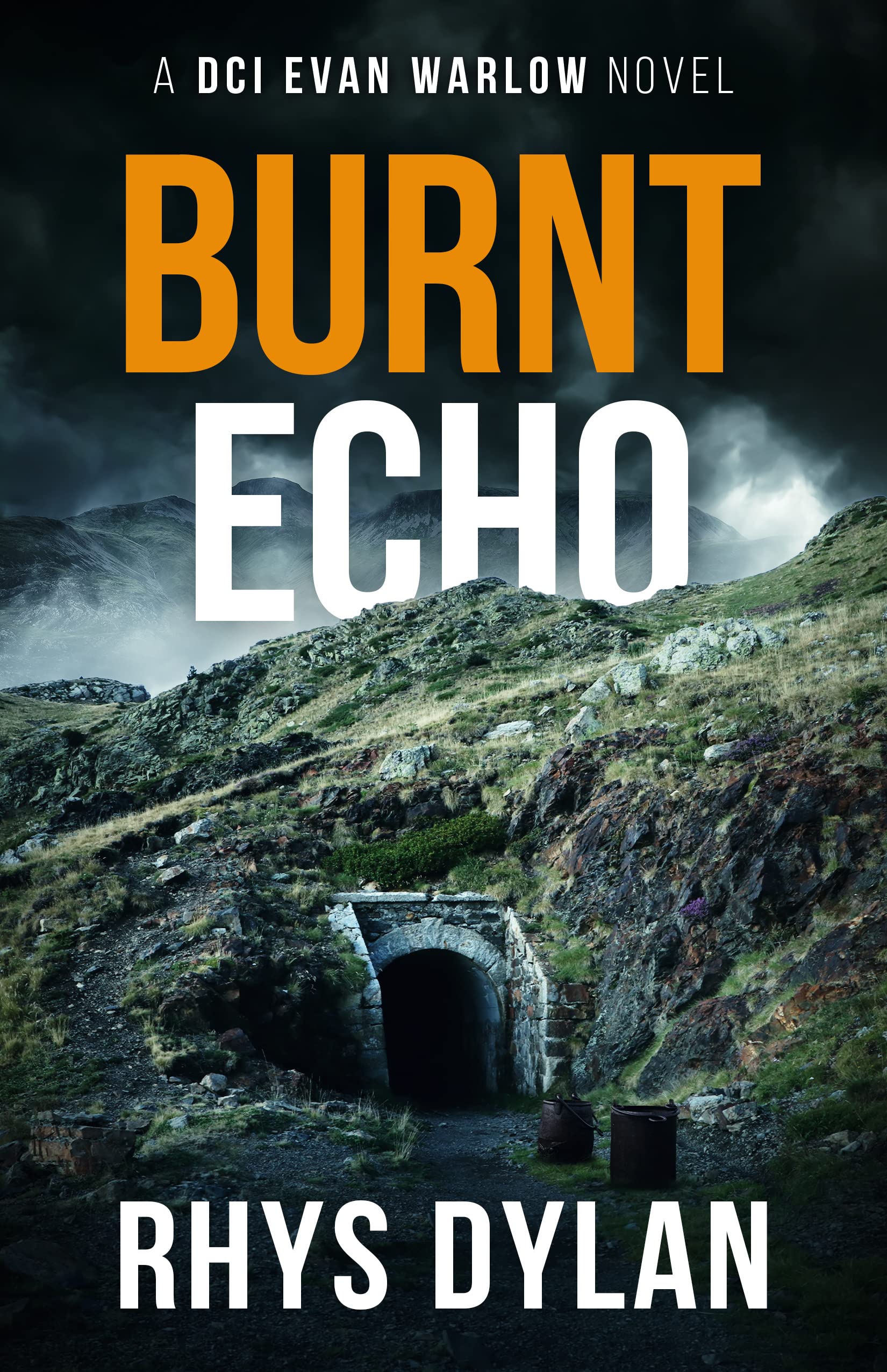 Burnt Echo book cover