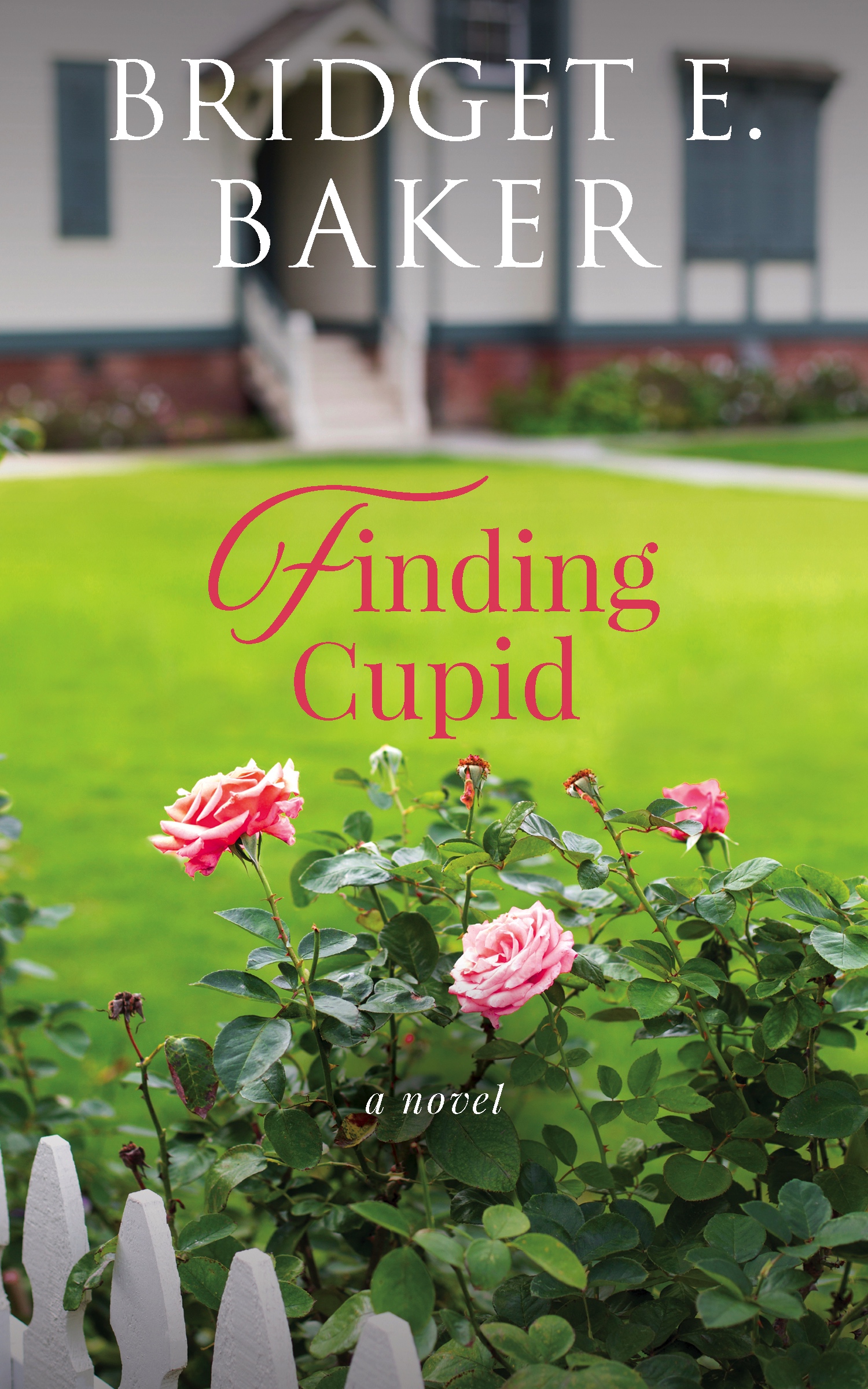 Finding Home book cover 2