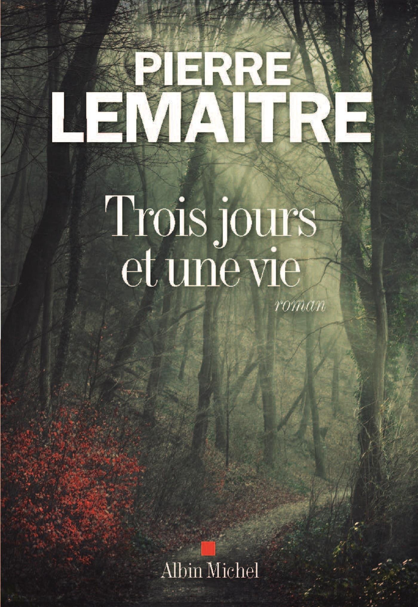 Trois jours et une vie book cover