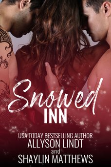 Snowed Inn book cover