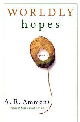 Worldly Hopes book cover