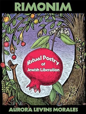 Rimonim book cover