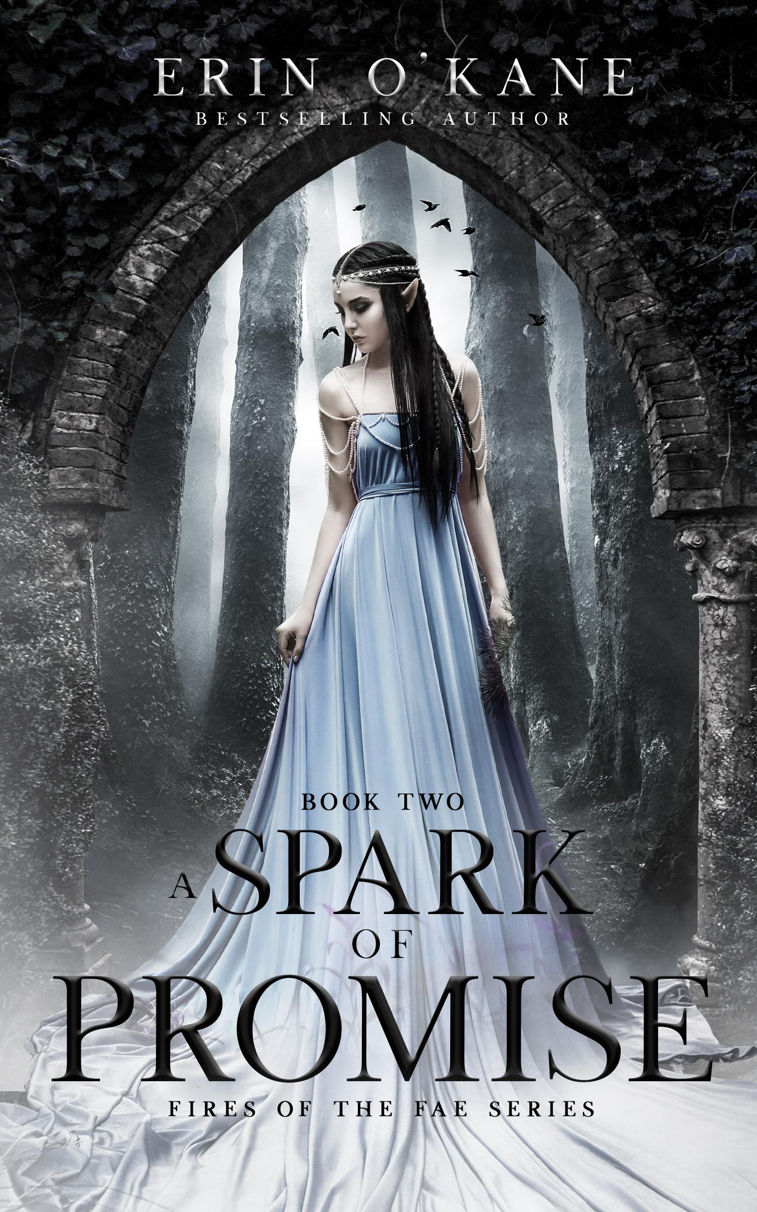 Fires of the Fae book cover 2