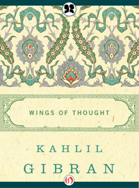 Wings of Thought book cover