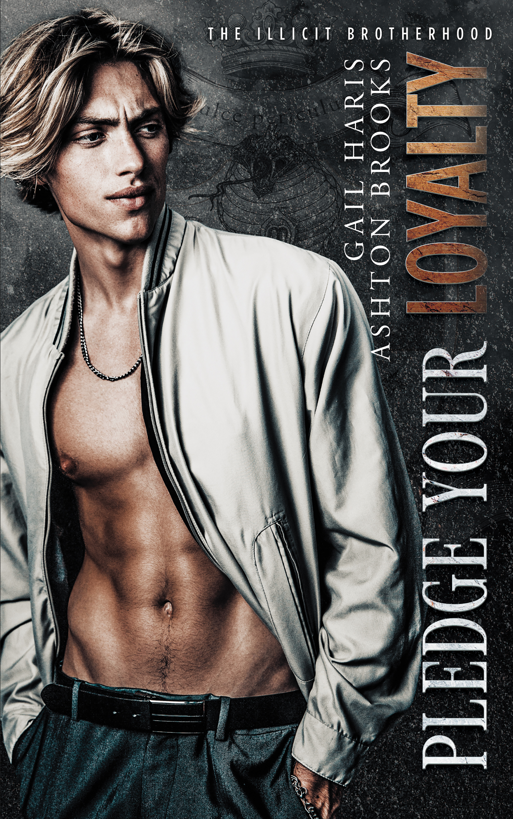 The Illicit Brotherhood book cover 1