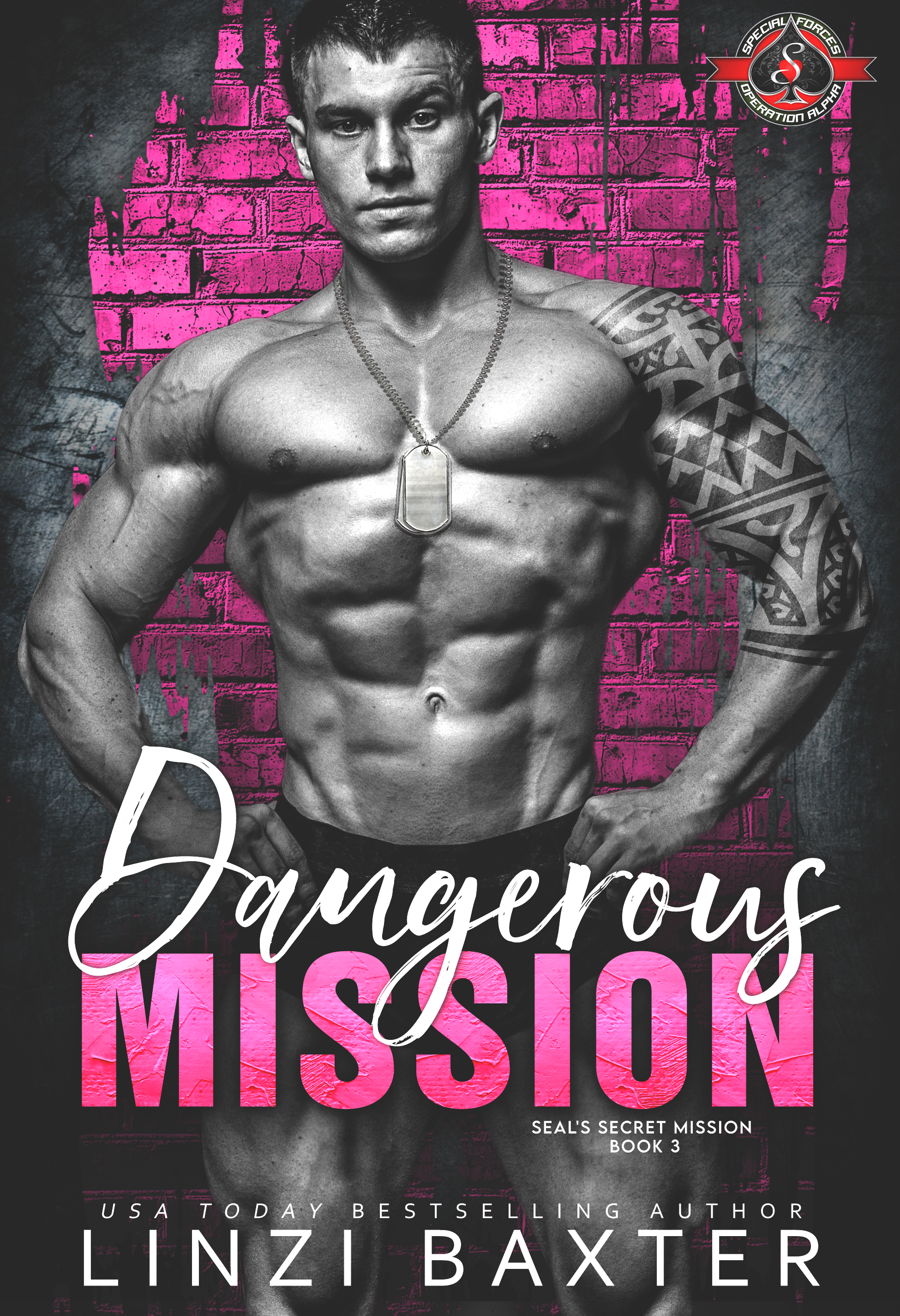 SEAL’s Secret Mission book cover 3