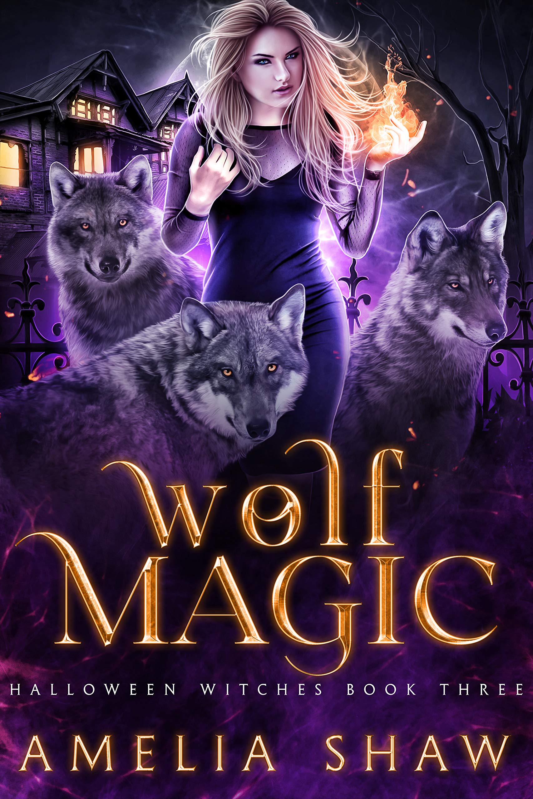 Halloween Witches book cover 2