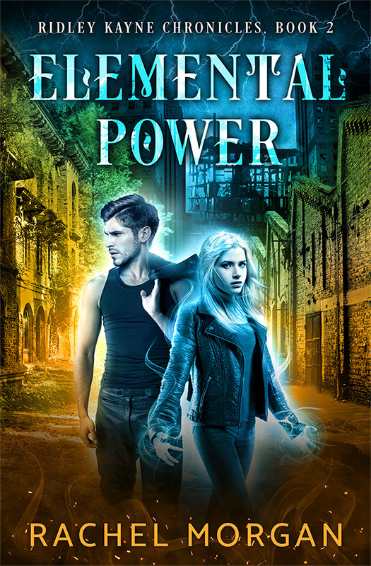 Ridley Kayne Chronicles book cover 2