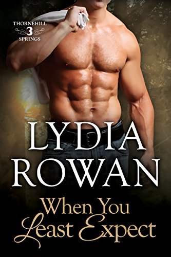 Thornehill Springs book cover 3