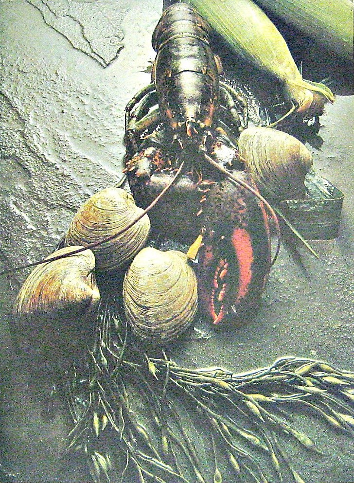 American Cooking book cover