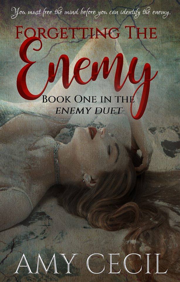 Enemy Duet book cover 1