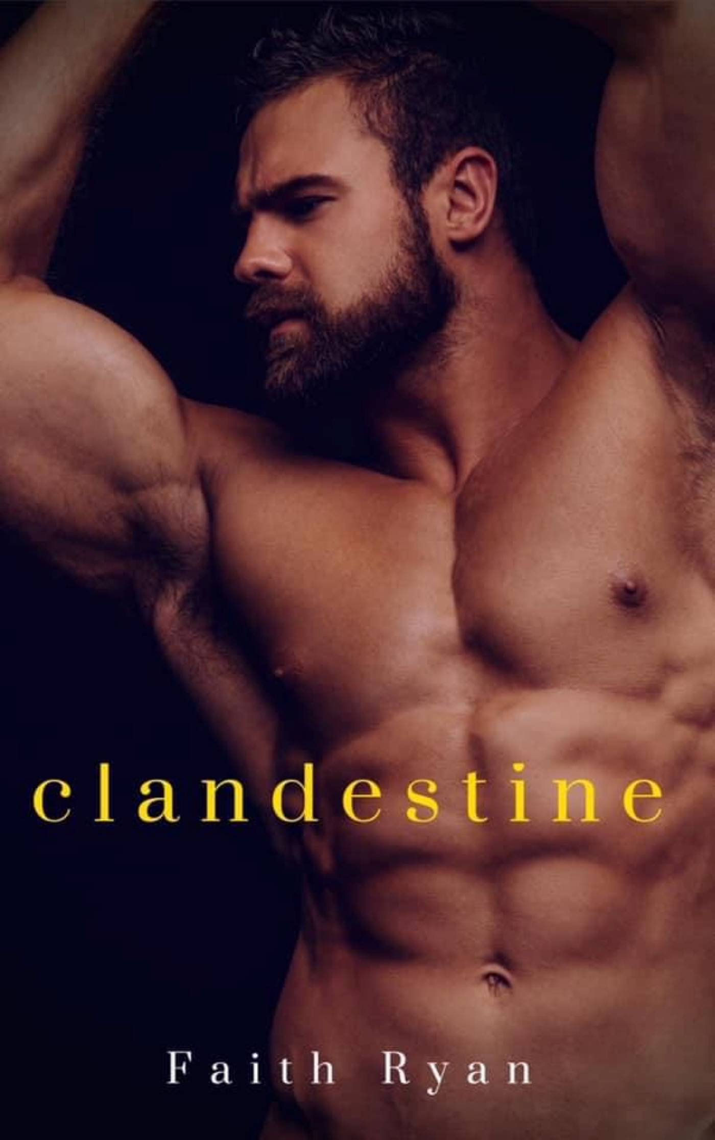 Clandestine book cover