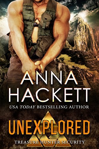 Treasure Hunter Security book cover 3