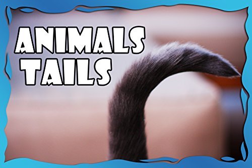 Animals Tails book cover