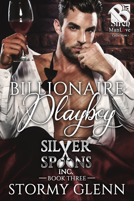 Silver Spoons Inc. book cover 3