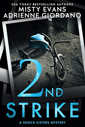 Schock Sisters book cover 2