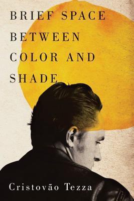 Brief Space Between Color and Shade book cover