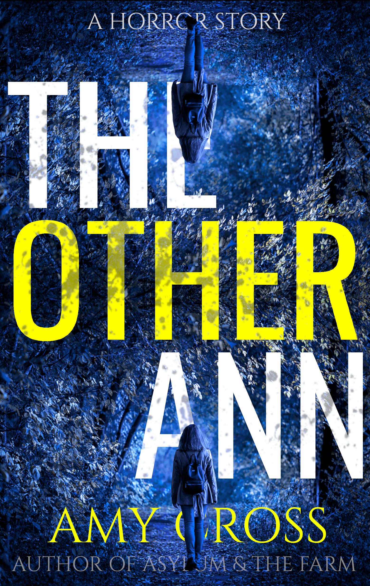 The Other Ann book cover
