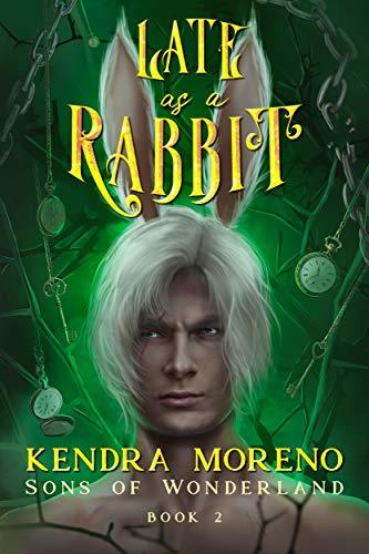 Sons of Wonderland book cover 2