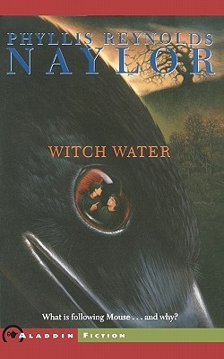 Witch Saga book cover 2
