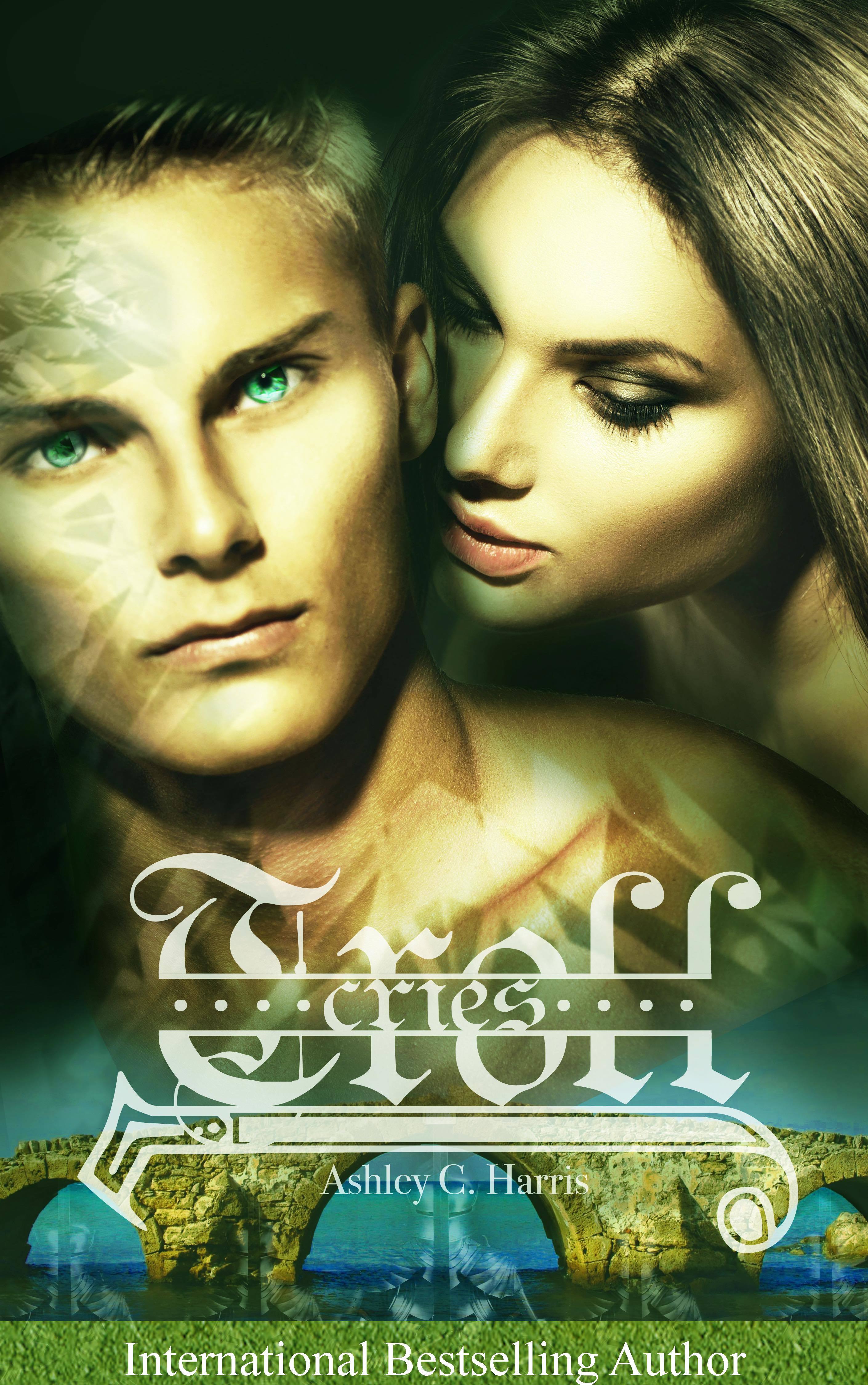 Troll book cover 2