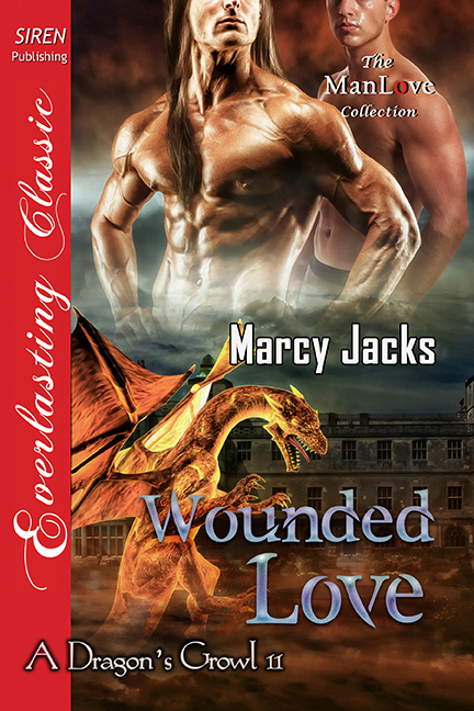 Wounded Love book cover