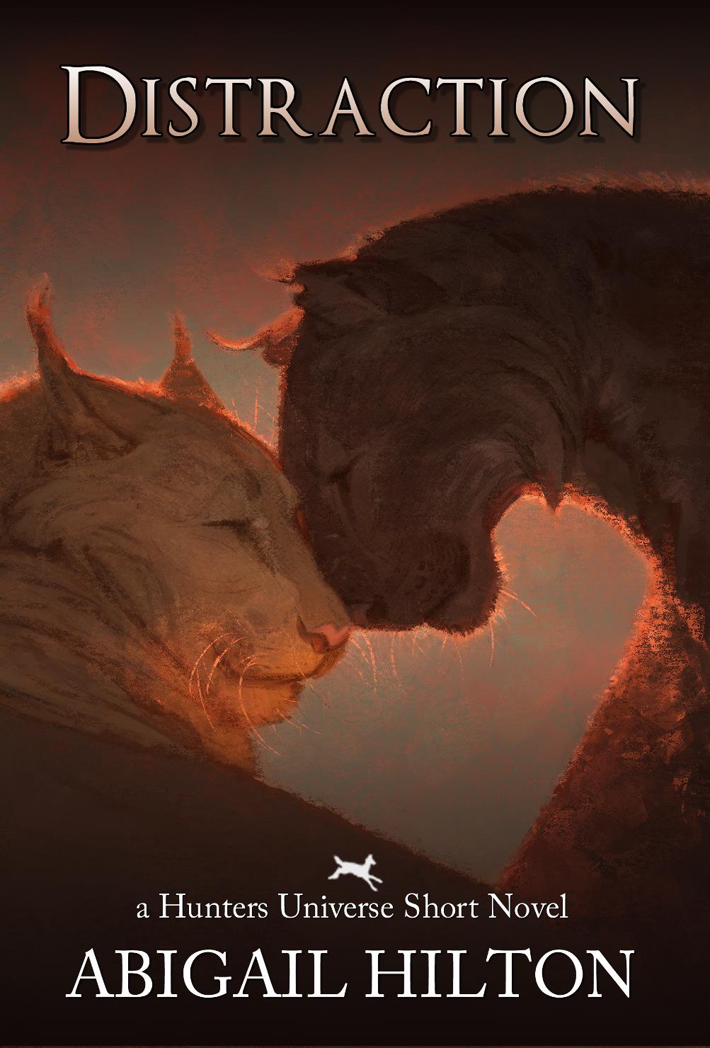 Distraction book cover