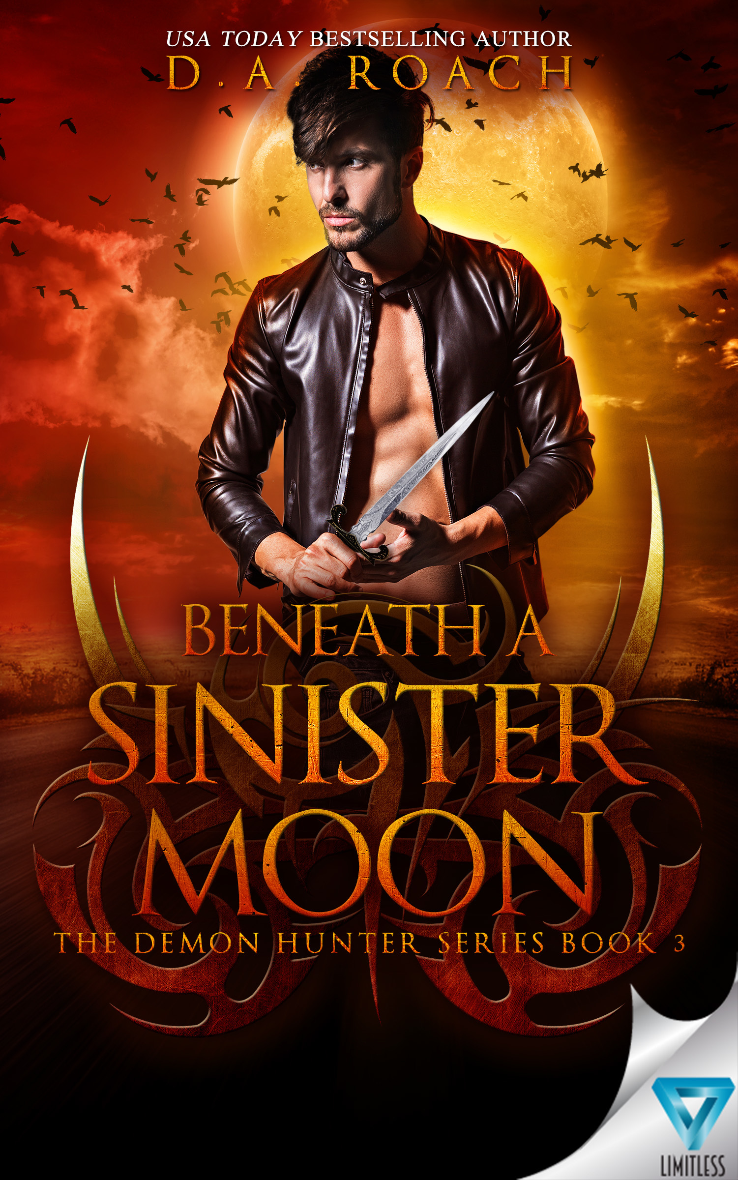 Demon Hunter book cover 3
