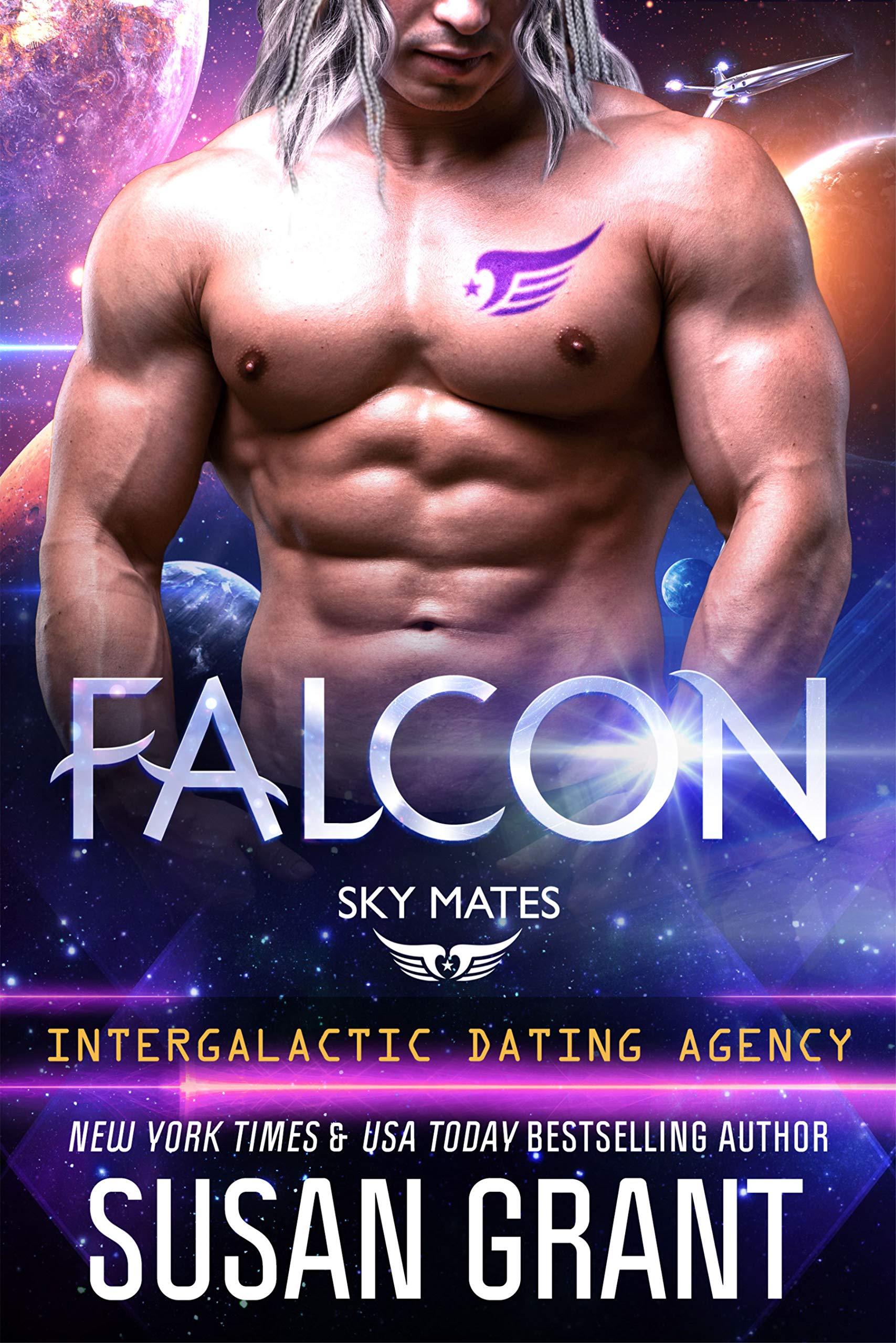 Falcon book cover