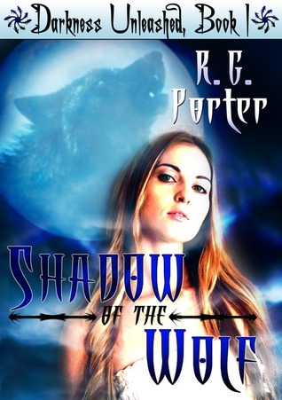 Darkness Unleashed book cover 1